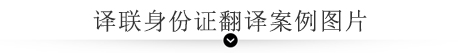 譯聯(lián)翻譯案例指示圖 譯聯(lián)翻譯案例指示圖