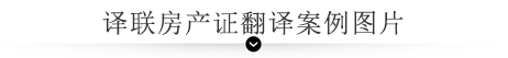 譯聯翻譯案例指示圖 譯聯翻譯案例指示圖