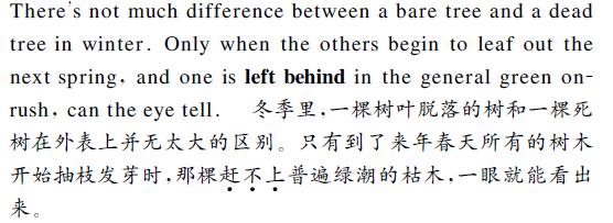 中英文翻譯內容圖片 中英文翻譯內容圖片