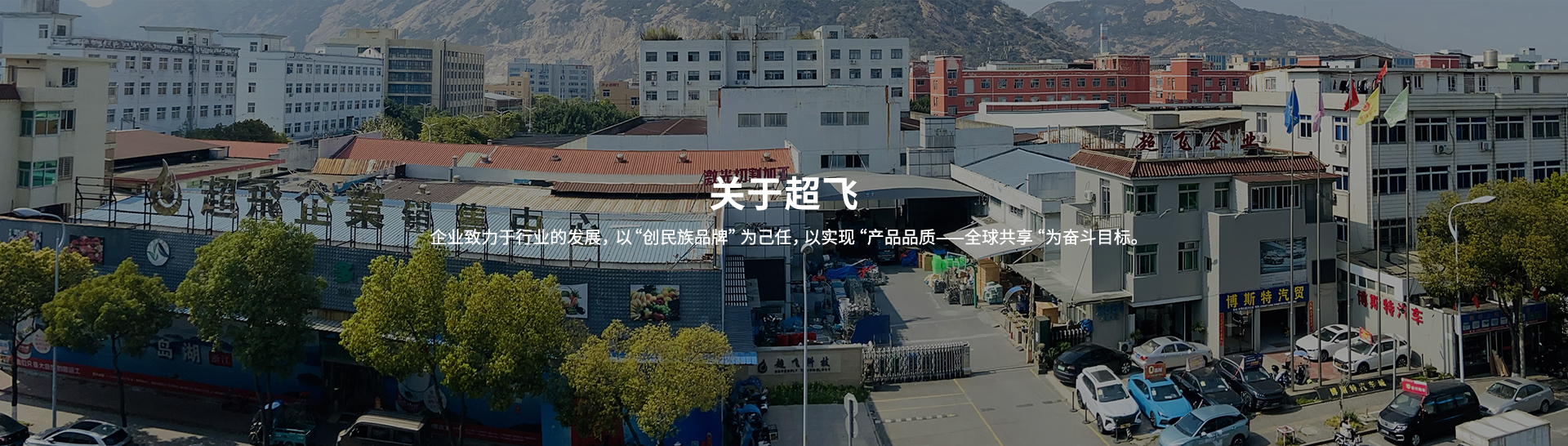 衛生級止回閥，快裝閥門廠家